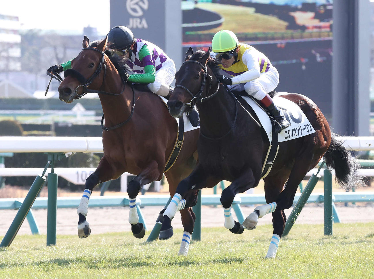 中山5R新馬戦を制したヒラボクミニーと勝浦騎手（左）（撮影・丹羽敏通）