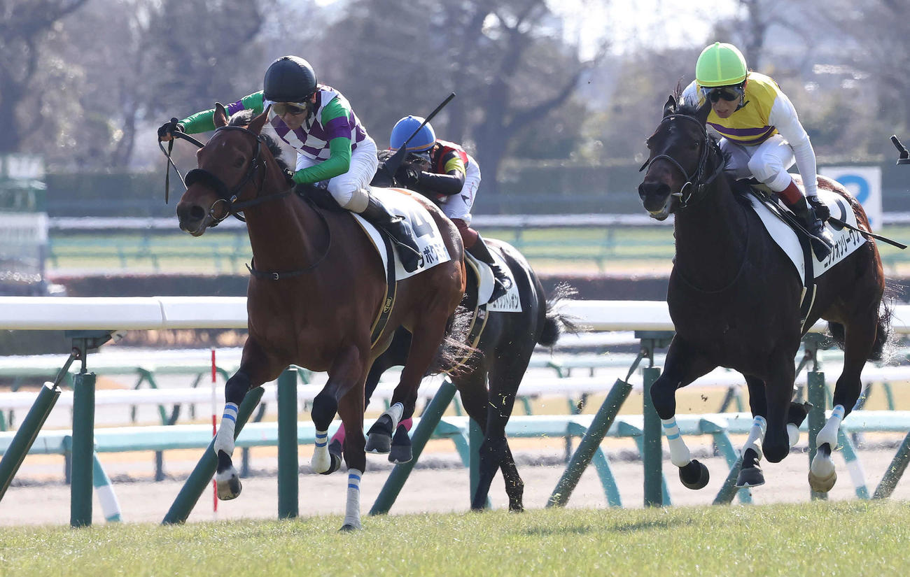 中山5R新馬戦を制したヒラボクミニーと勝浦騎手（左）（撮影・丹羽敏通）