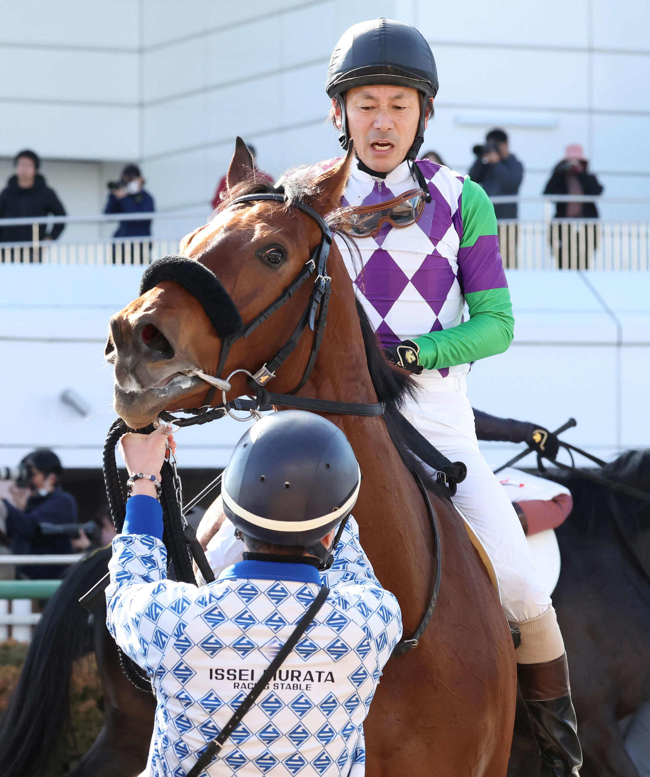 中山5R新馬戦を制したヒラボクミニーと勝浦騎手（撮影・丹羽敏通）