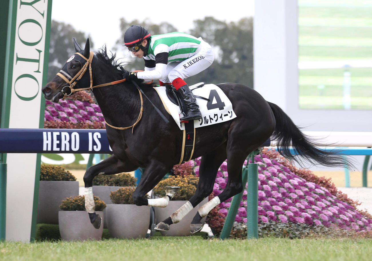 京都5R、3歳未勝利を勝ち上がったソルトクィーン（撮影・白石智彦）