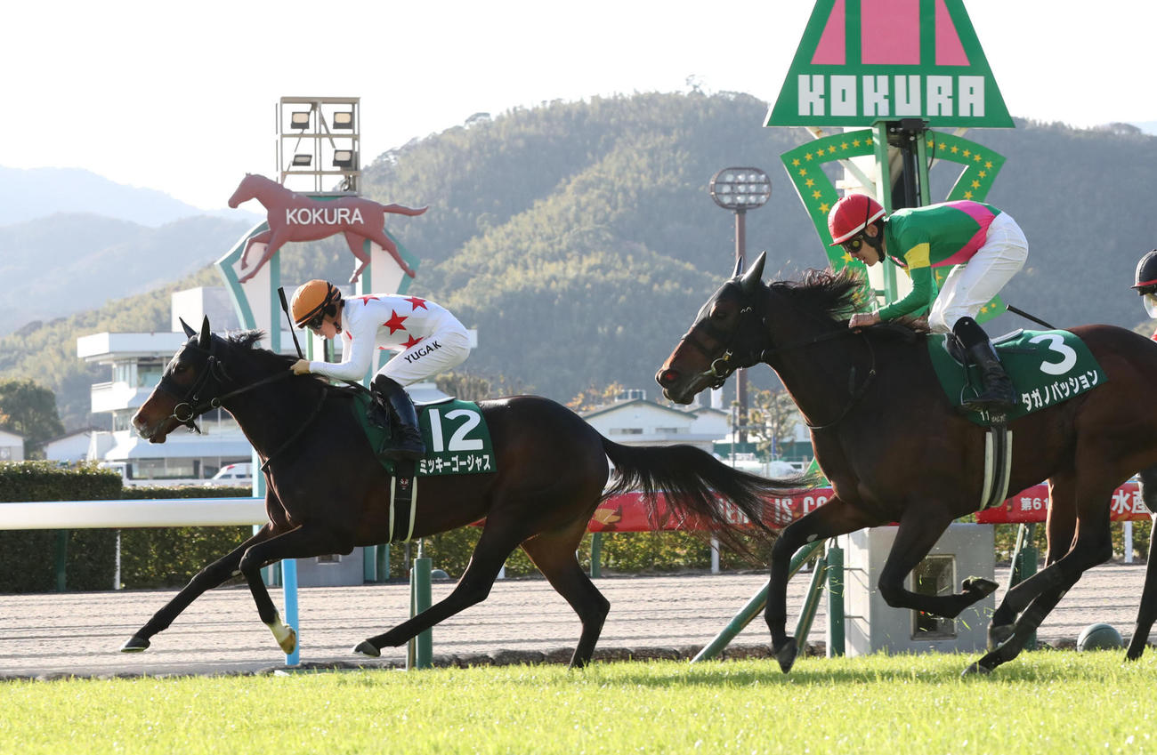 ミッキーゴージャス（左）と川田騎手は直線を逃げ切って愛知杯を制す（撮影・梅根麻紀）