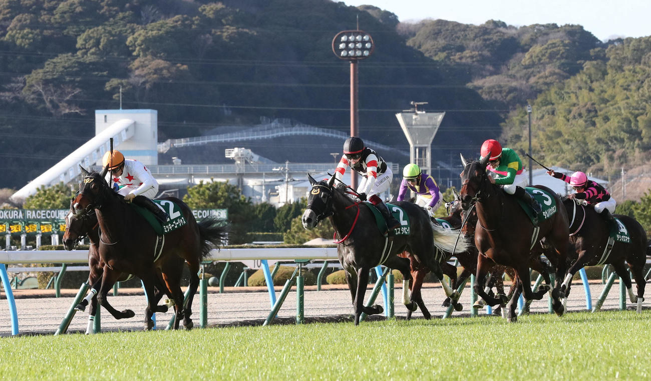 ミッキーゴージャスと川田騎手は直線を逃げ切って愛知杯を制す（撮影・梅根麻紀）