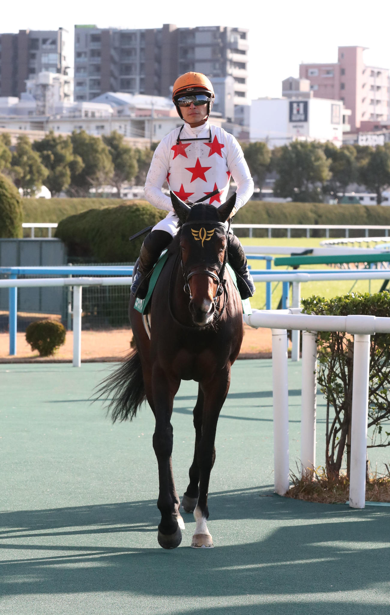 愛知杯を制したミッキーゴージャスと川田騎手（撮影・梅根麻紀）