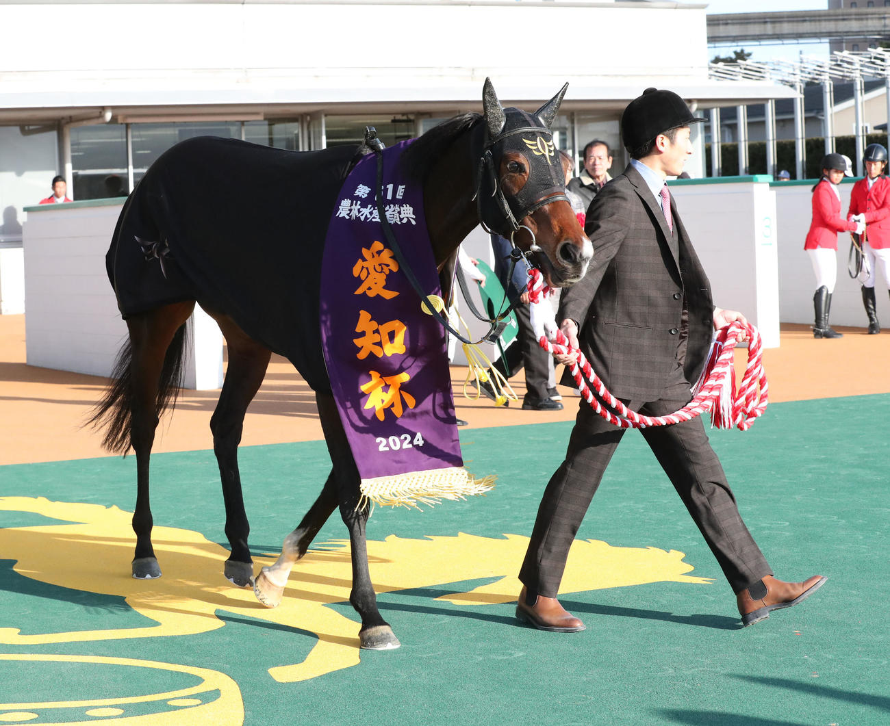 愛知杯を制したミッキーゴージャス（撮影・梅根麻紀）