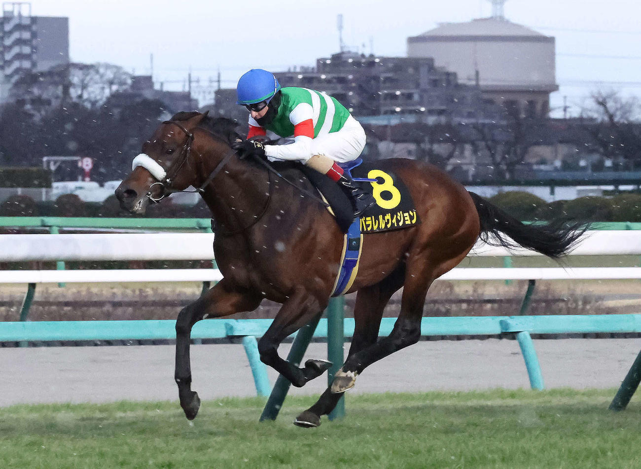 ニューイヤーSを制したパラレルヴィジョンとルメール騎手（撮影・丹羽敏通）