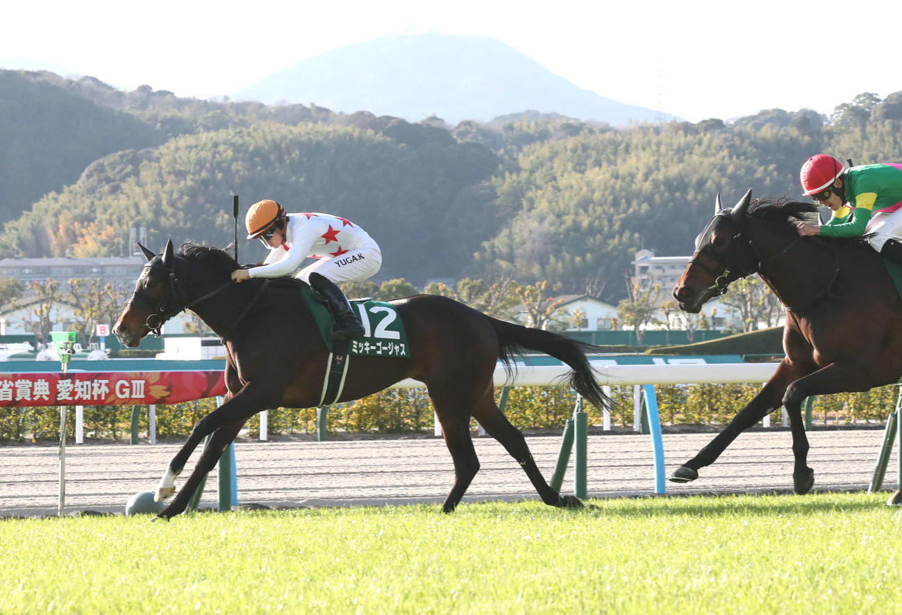 直線で先頭に立ちそのまま押し切って愛知杯に勝利するミッキーゴージャスと川田騎手（撮影・梅根麻紀）