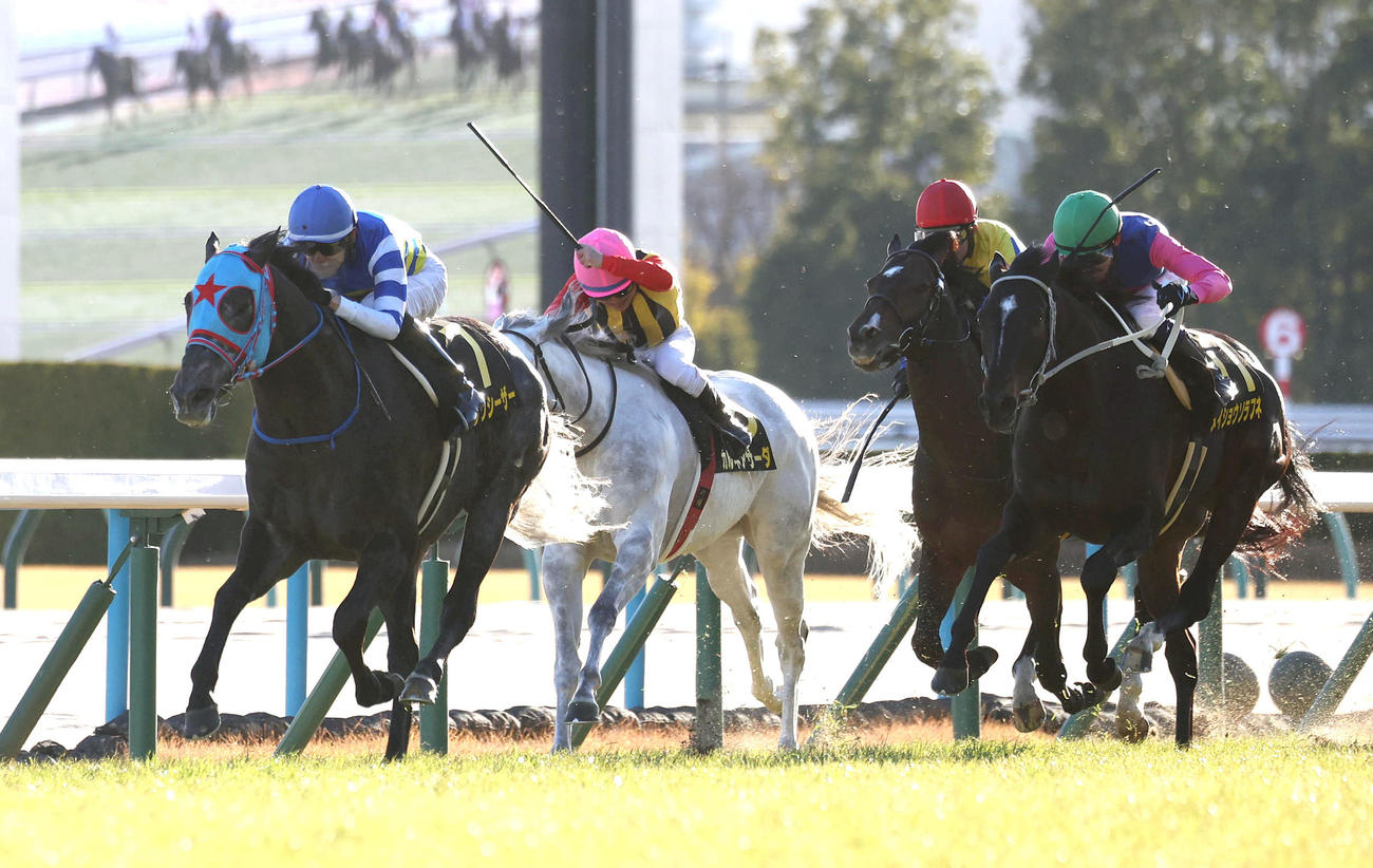 京都11R、直線抜け出して淀短距離Sを制したビッグシーザー（左）（撮影・白石智彦）