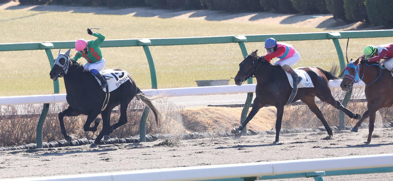 中山3R新馬戦を制したジョーローリットと岩田康騎手（撮影・丹羽敏通）