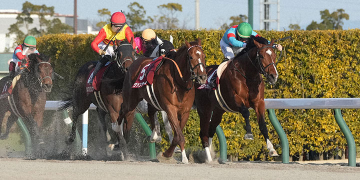 プロミストウォリア（右）が東海Sを制した（撮影・森本幸一）＝2023年1月22日、中京競馬場