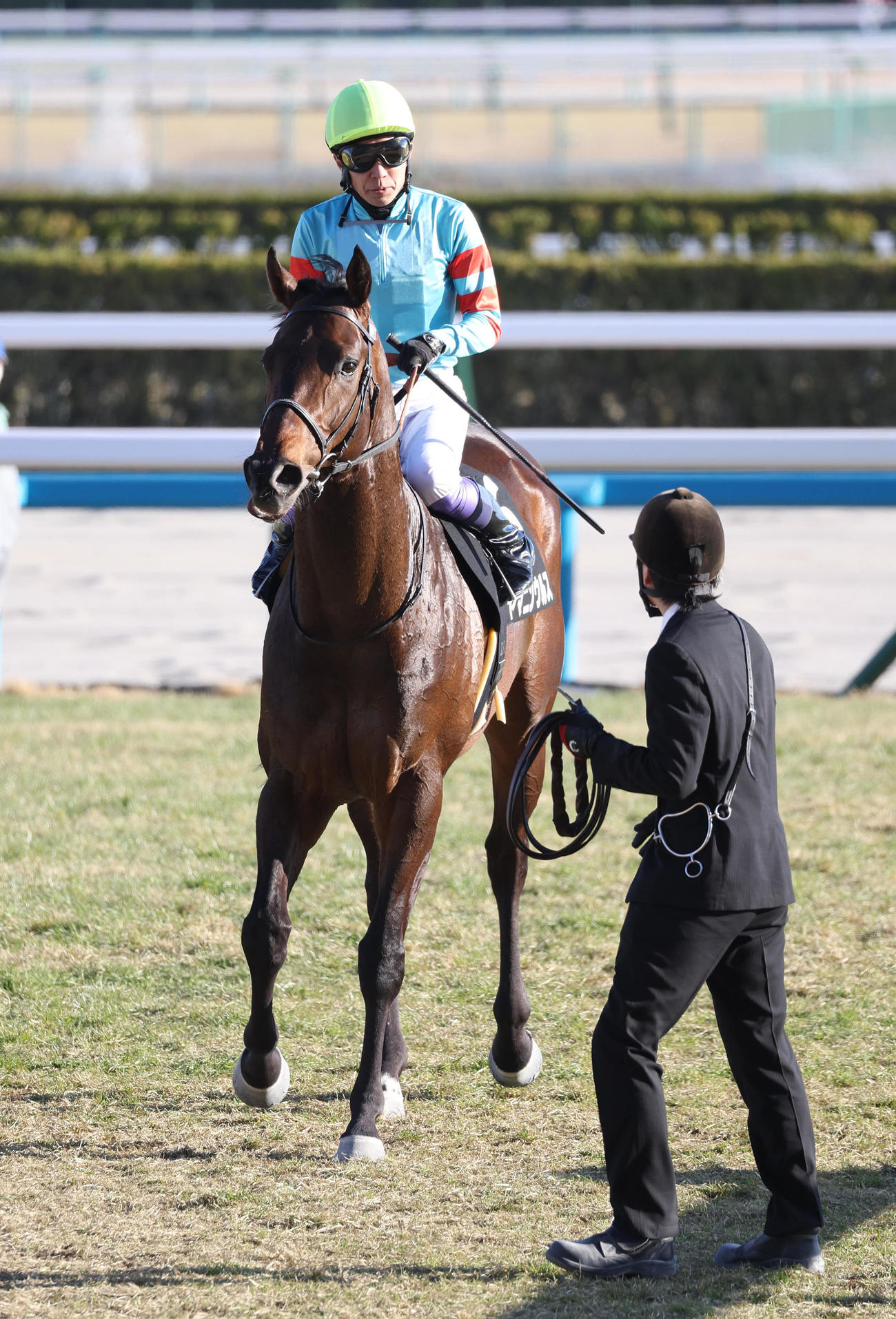 無傷の4連勝で雅Sを制したヤマニンウルス（撮影・白石智彦）