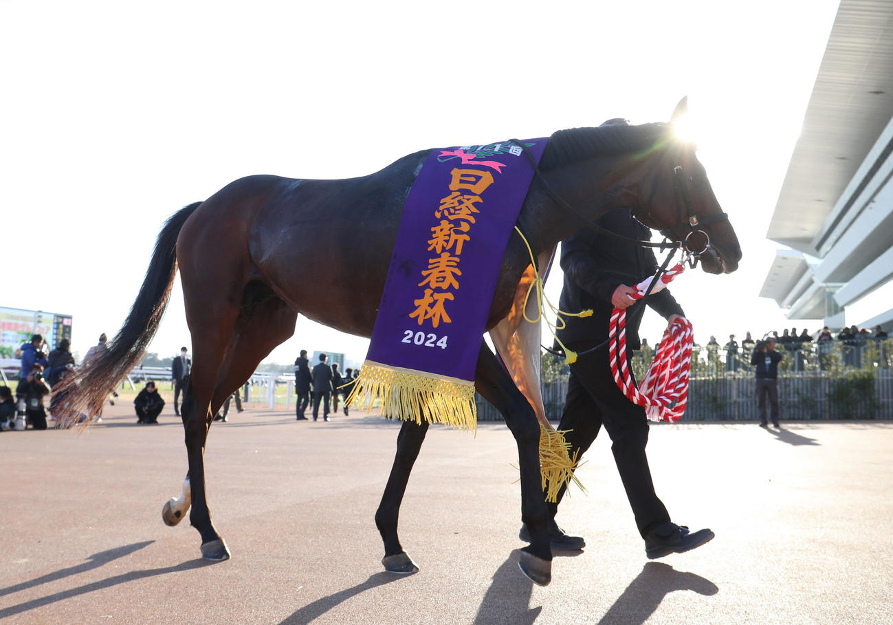 日経新春杯を制したブローザホーン（撮影・白石智彦）