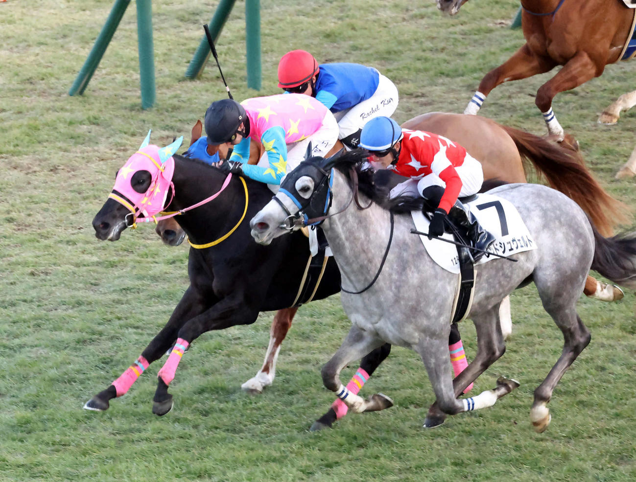 中山12R、4歳上1勝クラスを制したロゼルとピーヒュレク騎手（撮影・丹羽敏通）