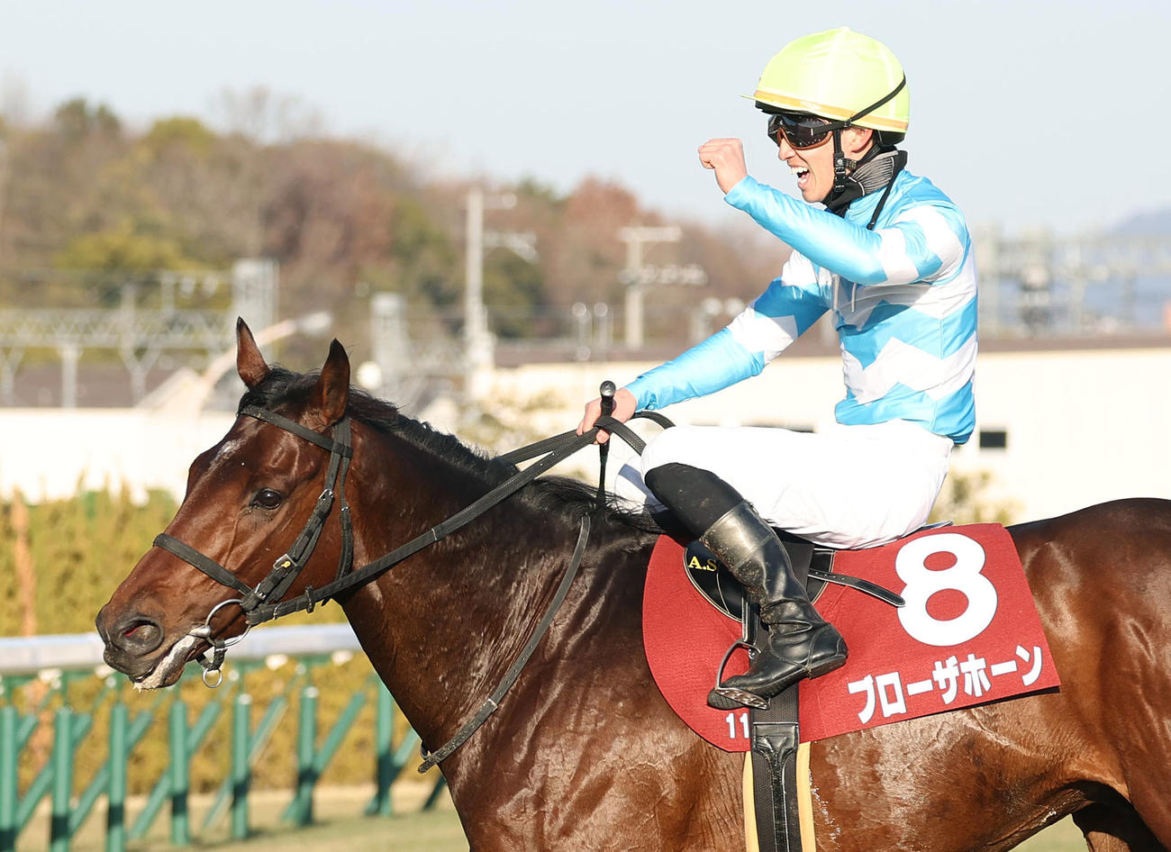 ブローザホーンで日経新春杯を制してガッツポーズする菅原明騎手（撮影・白石智彦）