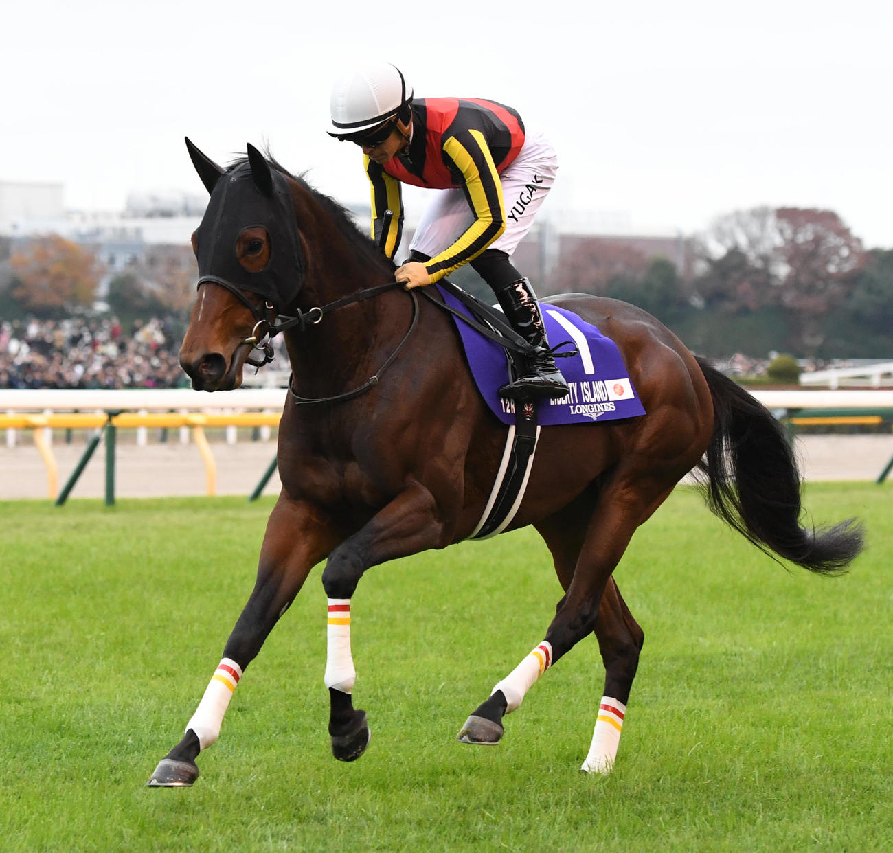 リバティアイランドと川田将雅騎手（2023年11月26日撮影）