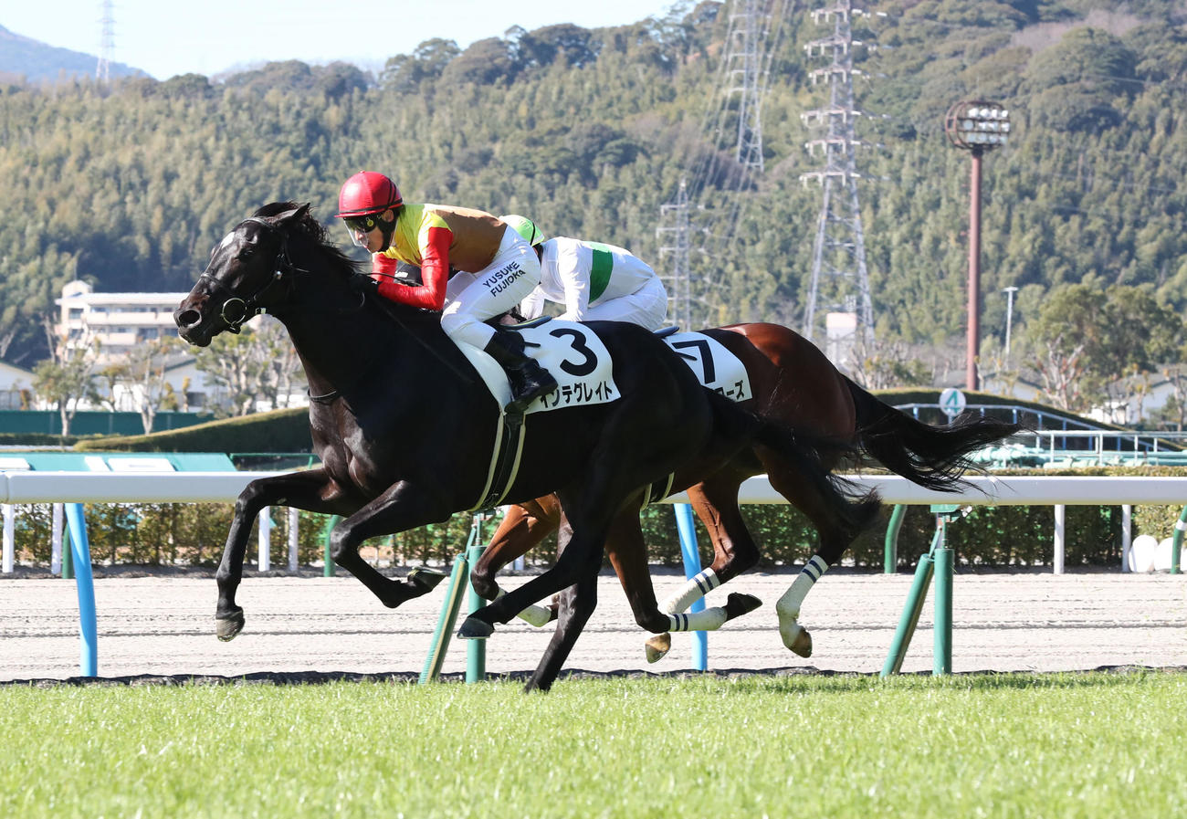 新馬戦を制したインテグレイトと藤岡佑騎手（撮影・梅根麻紀）