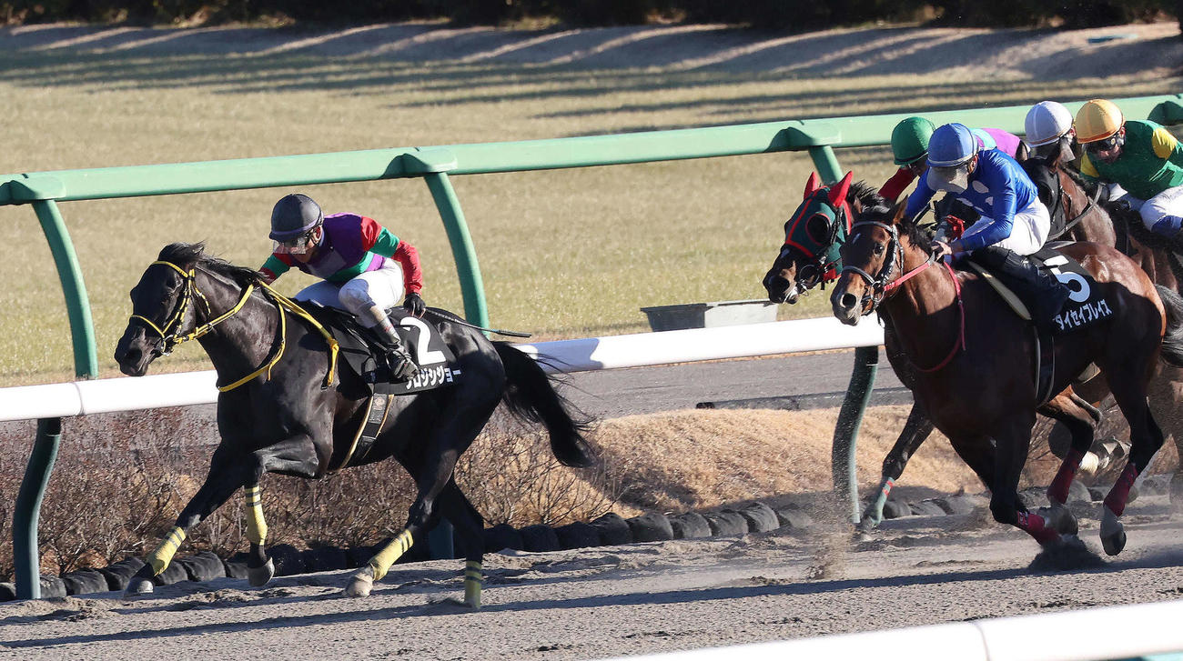 ジャニアリーSを制したクロジシジョーと戸崎騎手（撮影・丹羽敏通）