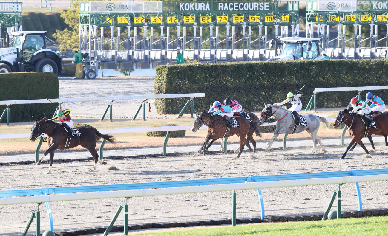 スレイマンと斎藤騎手（左）は4馬身差をつけて門司Sを制す（撮影・梅根麻紀）