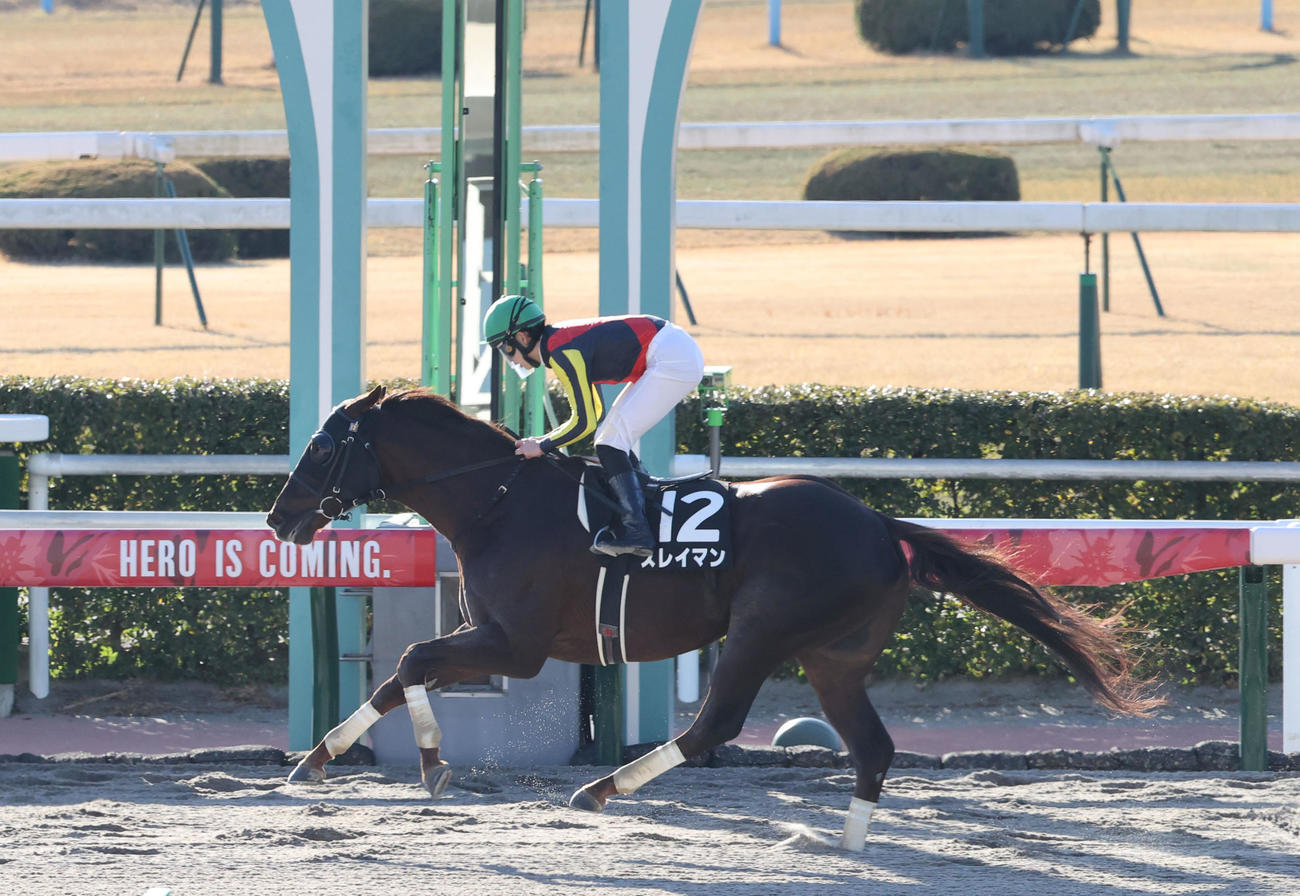 スレイマンと斎藤騎手は直線を抜け出し、そのまま大差でゴール、門司Sを制す（撮影・梅根麻紀）