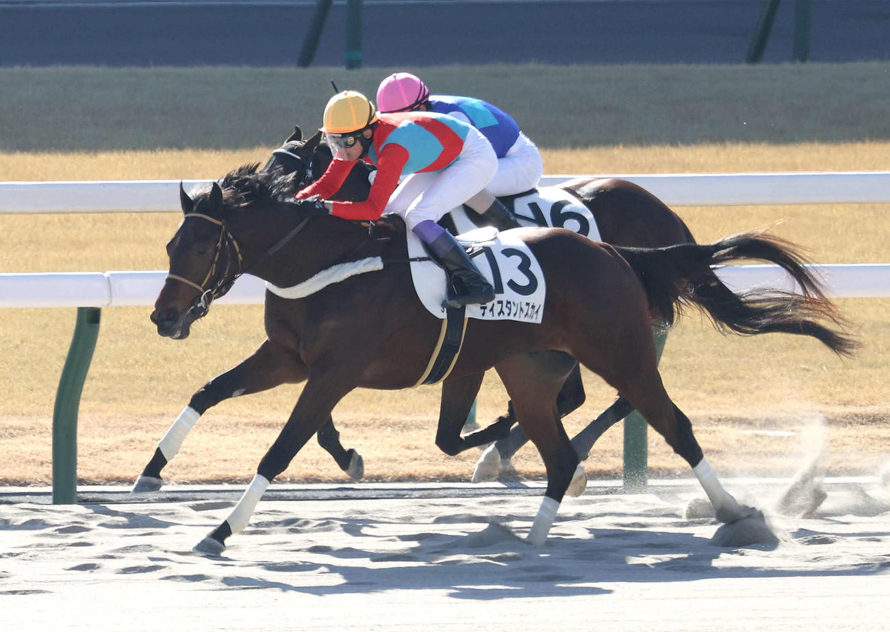 京都3R、直線抜け出して新馬戦を制したディスタントスカイ（撮影・白石智彦）
