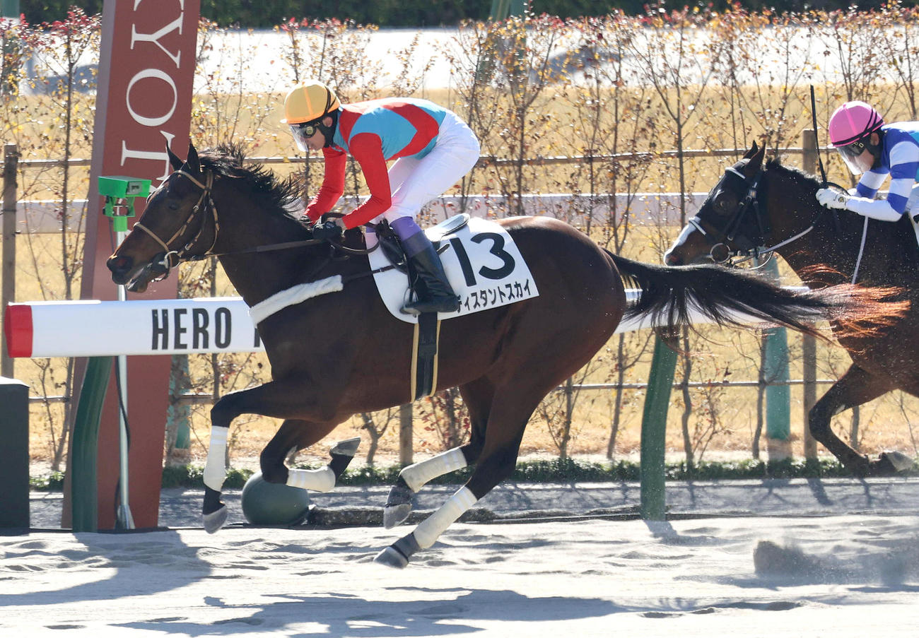 京都3R、直線抜け出して新馬戦を制したディスタントスカイ（撮影・白石智彦）
