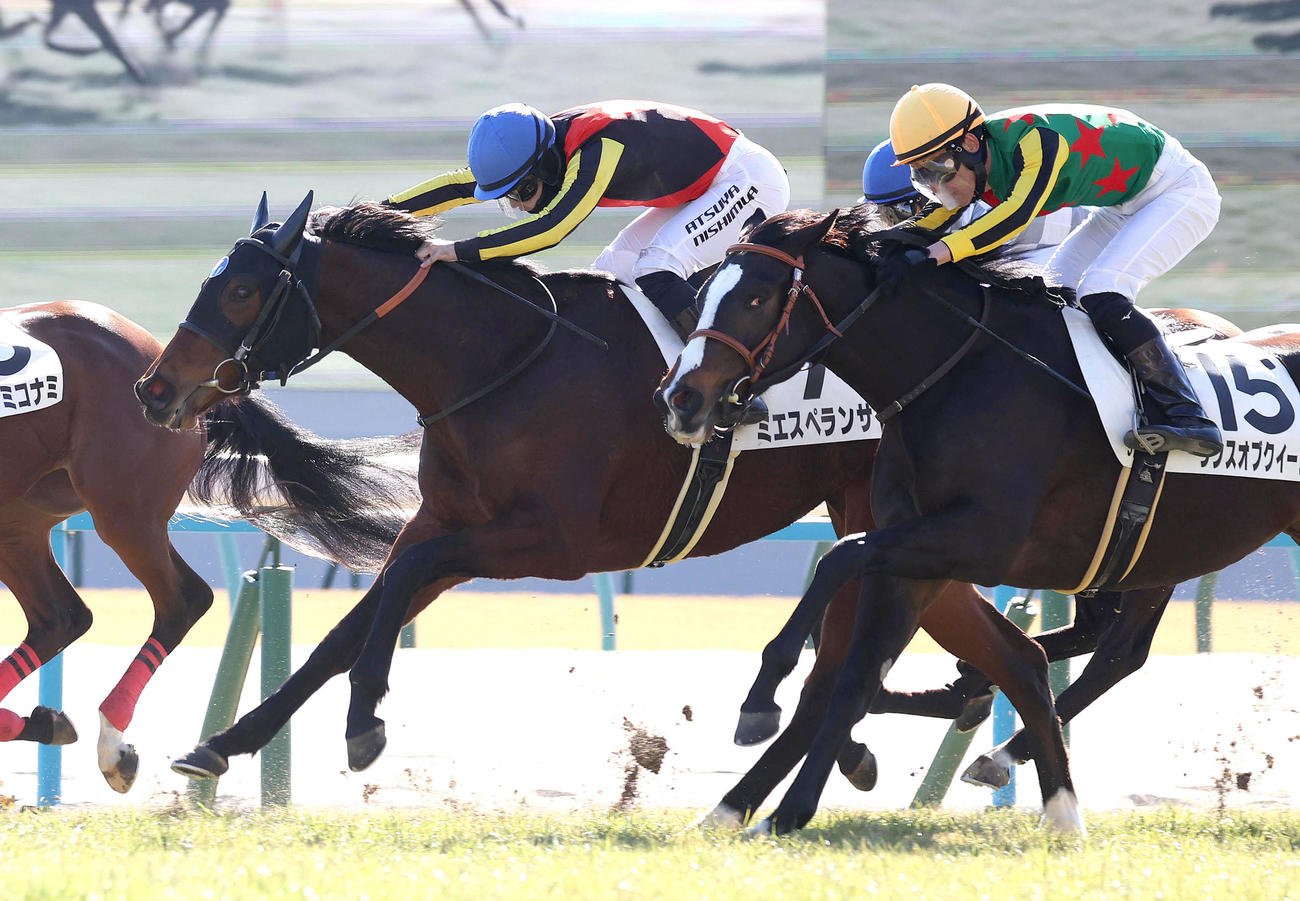 京都5R、ゴール前差し切って新馬戦を制したミエスペランサ（撮影・白石智彦）