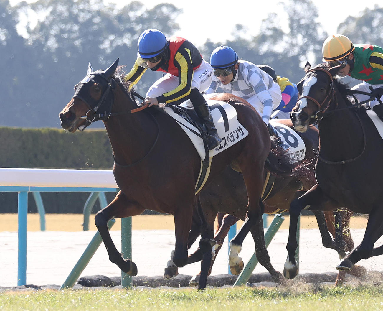 京都5R、ゴール前差し切って新馬戦を制したミエスペランサ（撮影・白石智彦）