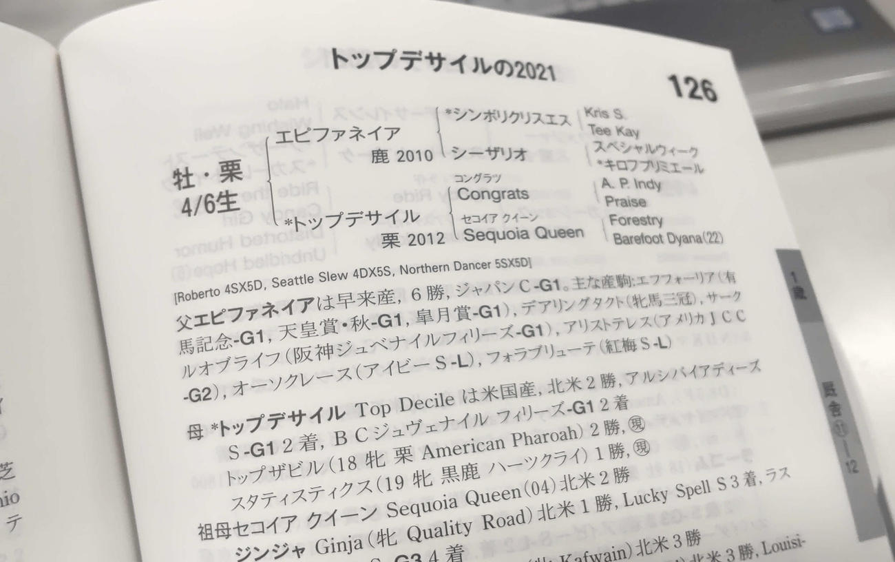 22年セレクトセールのカタログ、ダノンデサイルは上場番号126（撮影・木南友輔）