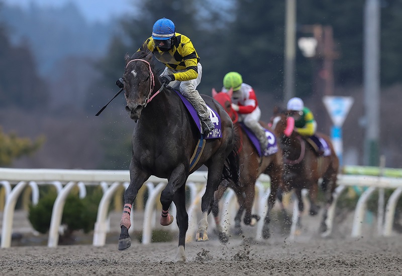 年度代表馬と4歳以上最優秀馬に選ばれたノーブルサターン。23年12月の桐花賞（岩手県競馬組合提供）