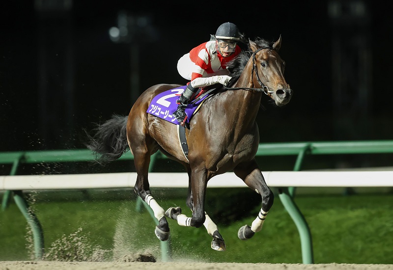 2歳最優秀馬に選ばれたフジユージーン。23年10月のネクストスター盛岡（岩手県競馬組合提供）