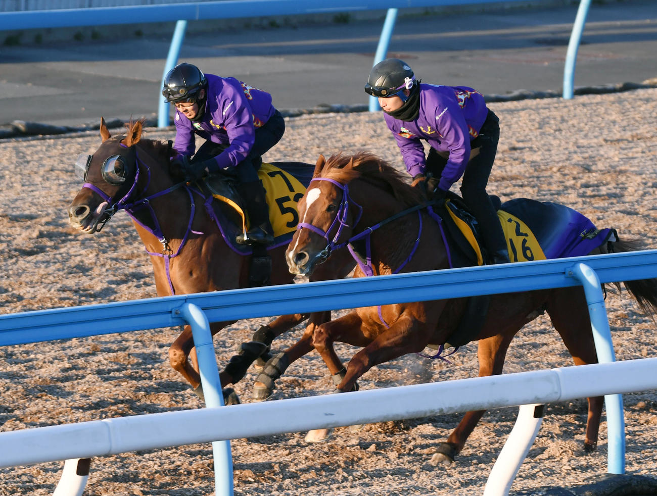 サンストックトン（左）はウインカーネリアンと併せて追い切る（撮影・柴田隆二）