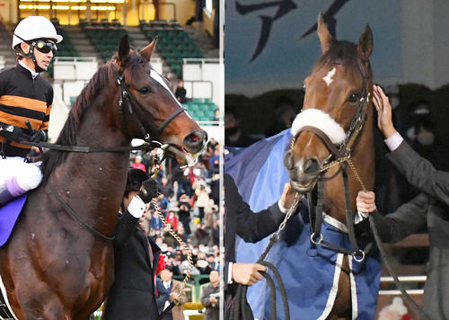 名牝アーモンドアイの3番子が誕生 父はキタサンブラック、初めての