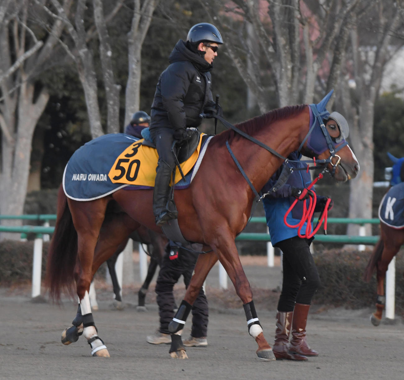 戸崎騎手を背にオメガギネスは追い切りに向かう（撮影・柴田隆二）