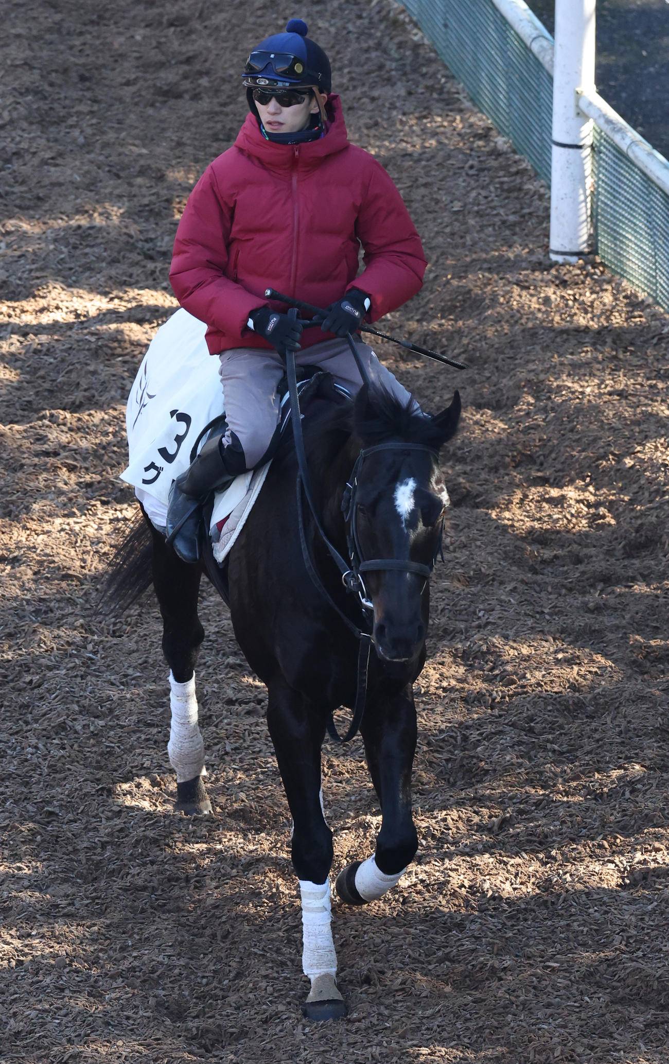 坂井瑠星騎手を背に引き揚げるアグリ