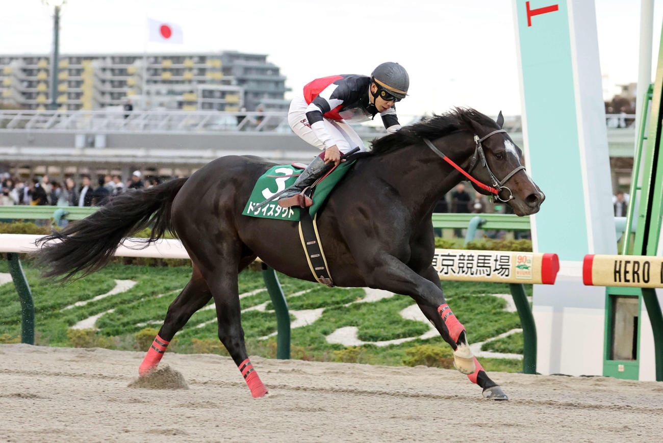 武蔵野Sを制したドライスタウトと横山武史騎手（撮影・鈴木正人）