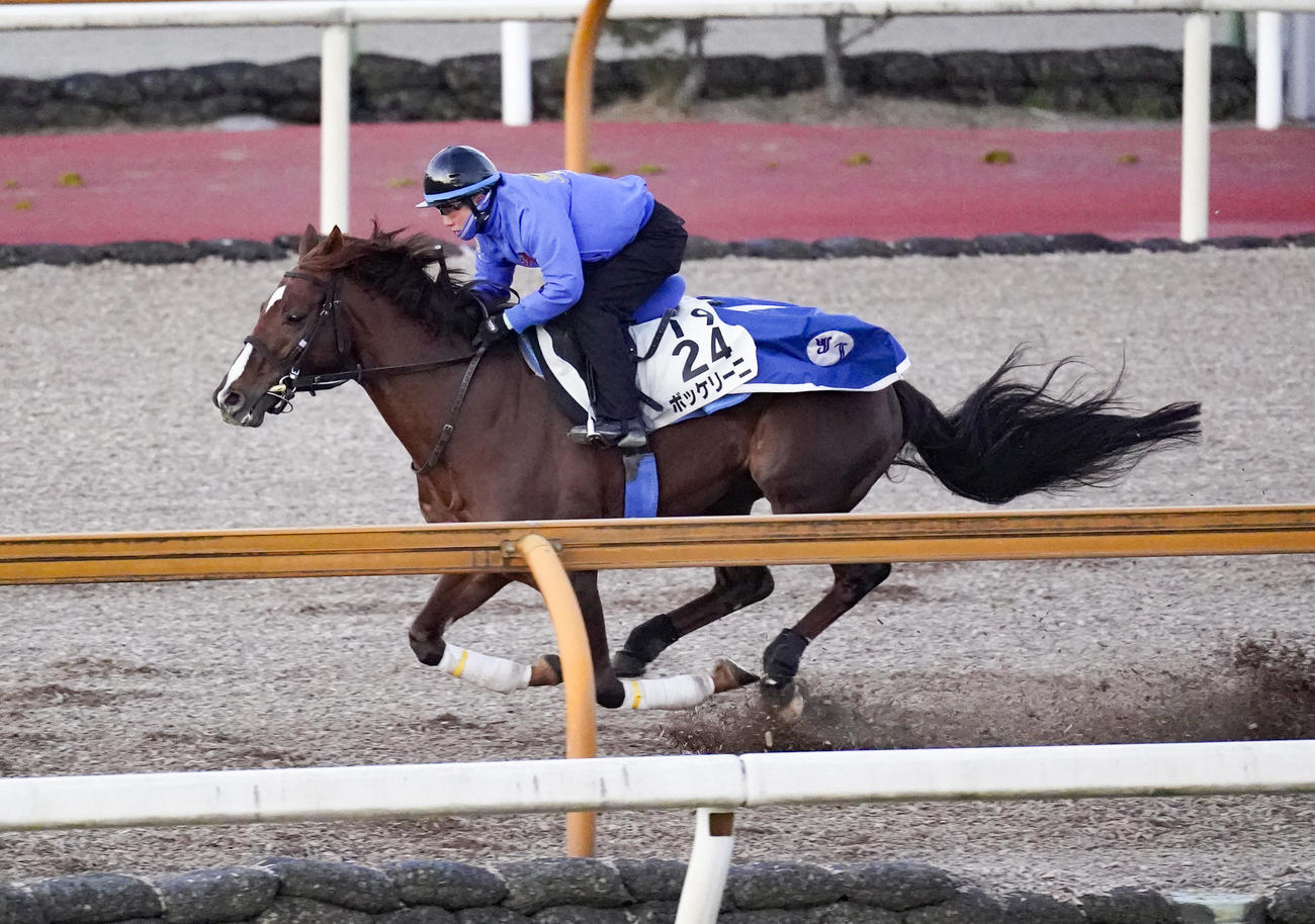 CWコースで追い切るボッケリーニ