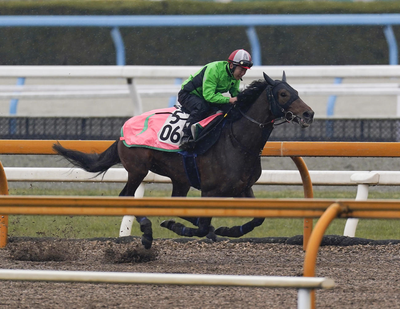 CWコースで追い切るキリンジ