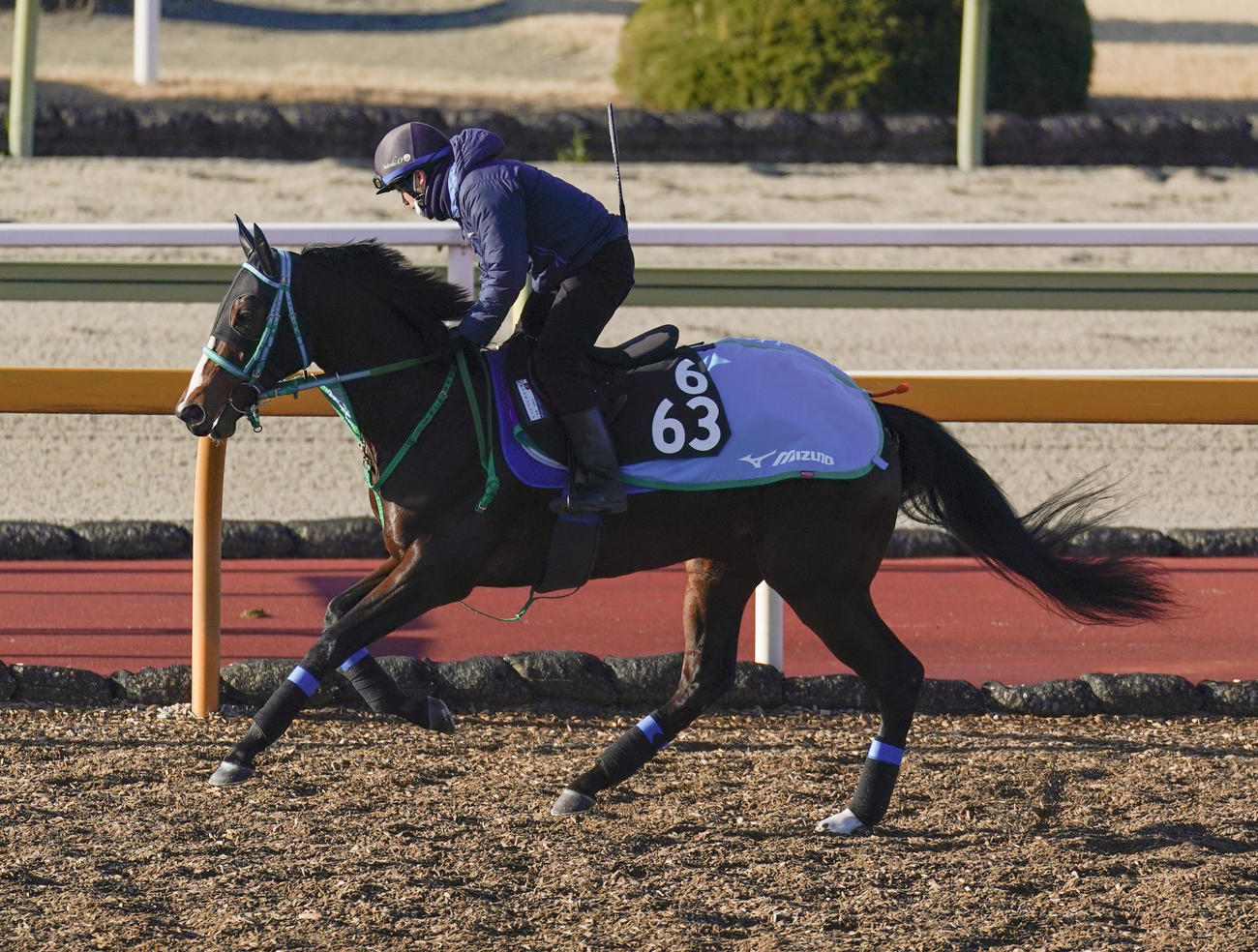 17日、馬場入りするダイヤモンドレイン