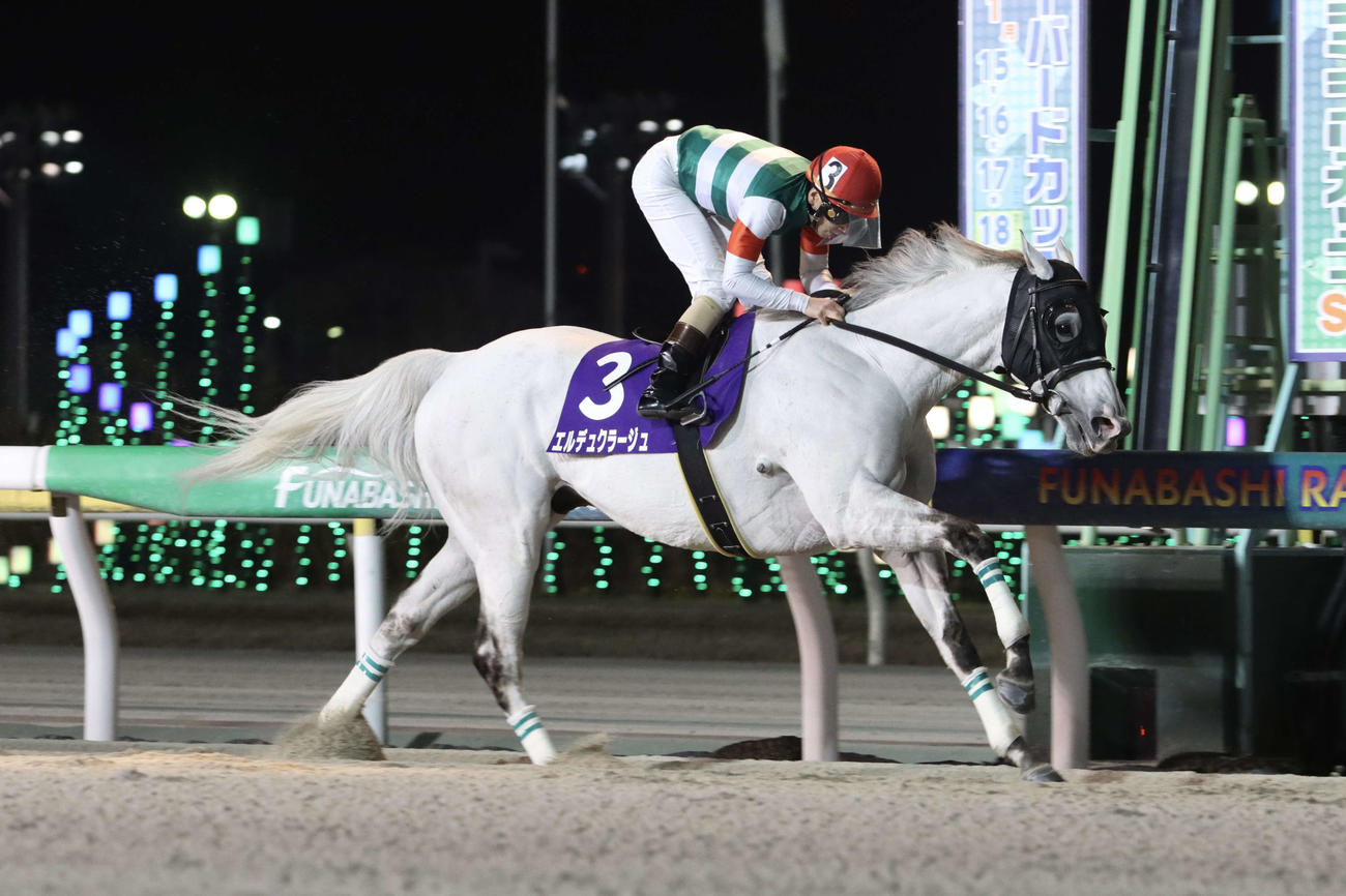 2着に2馬身差の逃げ切りで報知グランプリCを制したエルデュクラージュと矢野貴之騎手