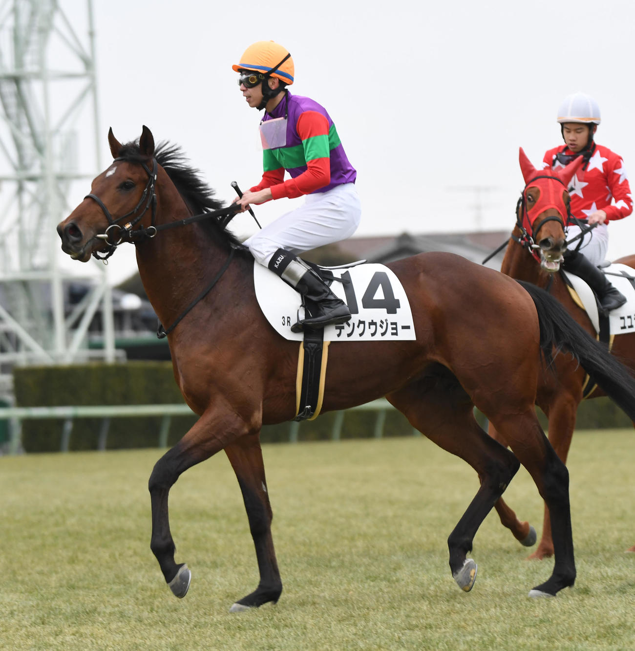中山3R、新馬戦を制したテンクウジョーと横山和騎手（撮影・柴田隆二）