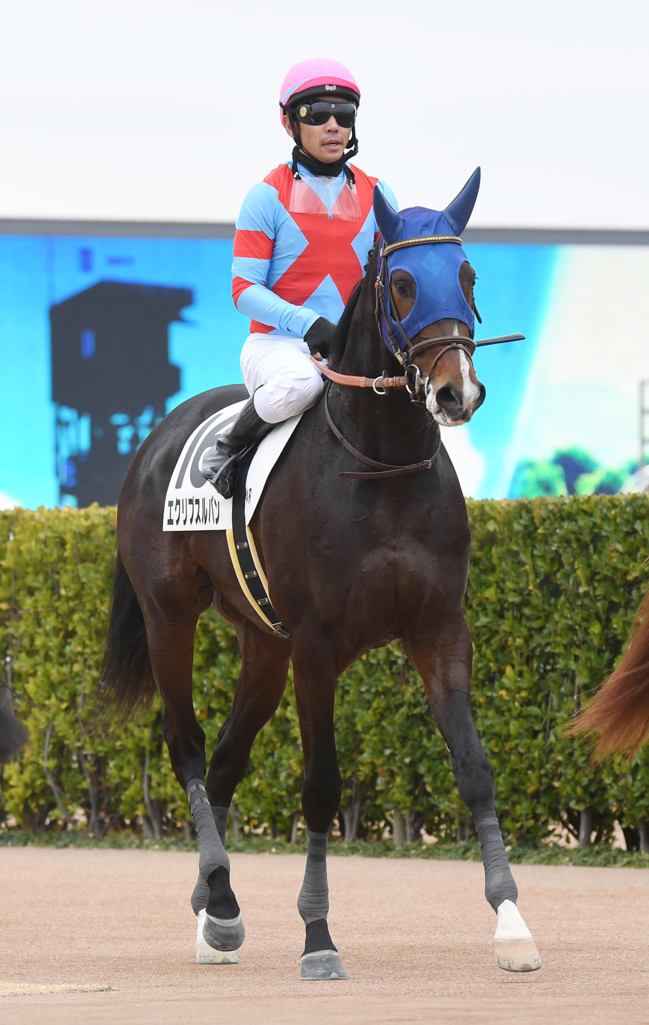 中山4R、新馬戦を制したエクリプスルバンと戸崎騎手（撮影・柴田隆二）