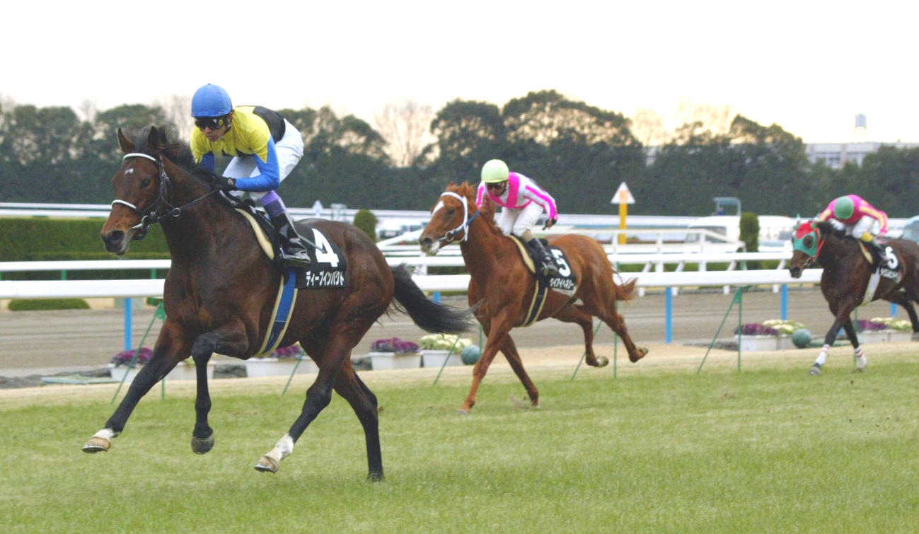 05年、若駒Sを5馬身差で圧勝したディープインパクトと武豊騎手