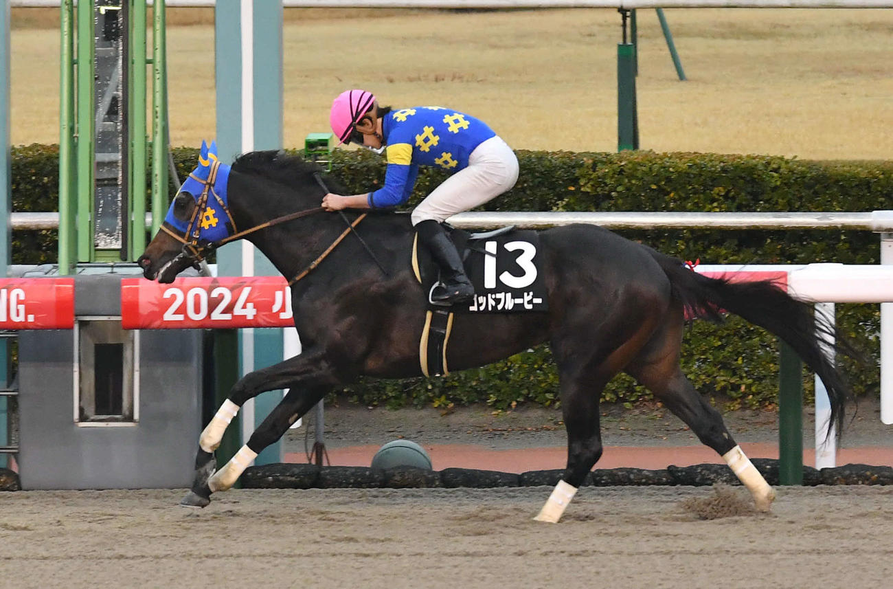 小倉11R和布刈特別、1着のゴッドブルービーと角田和騎手（撮影・岩下翔太）