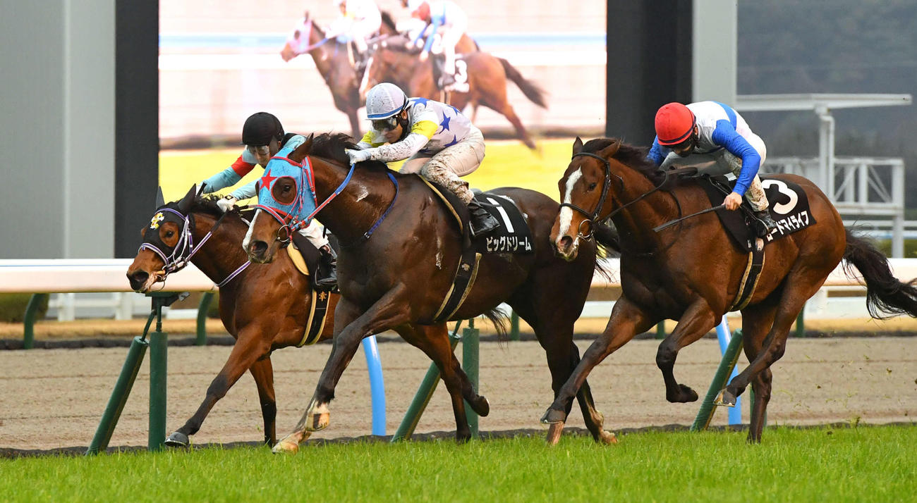 小倉9R萌黄賞、1着のビッグドリーム（中央）と吉田隼人騎手（撮影・岩下翔太）
