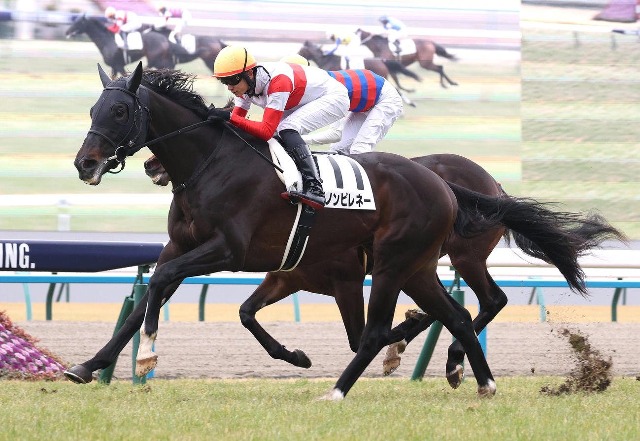 京都5R、ホウショウリナ（奥）との接戦を制して新馬戦を勝利したダノンピレネー（撮影・白石智彦）