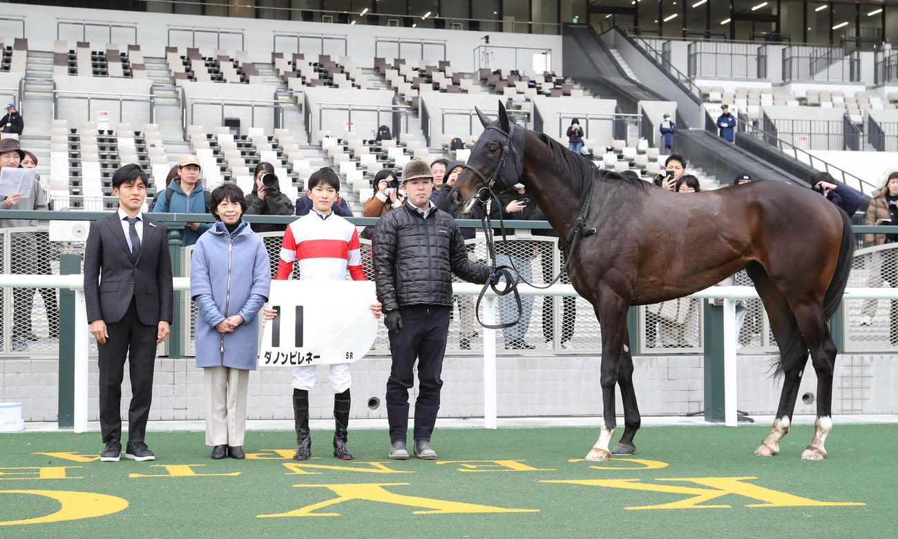 京都5R、新馬戦を勝利したダノンピレネーと口取りに並ぶ坂井騎手（右から2人目）（撮影・白石智彦）