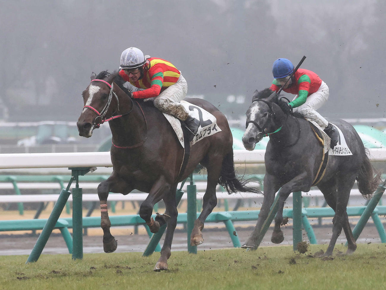中山5R、3歳未勝利戦を制したカムフライとキングスコート騎手（撮影・丹羽敏通）