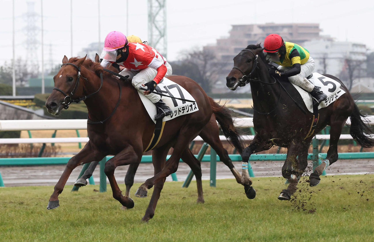 中山6R新馬戦を制したレッドテリオスと三浦騎手（撮影・丹羽敏通）