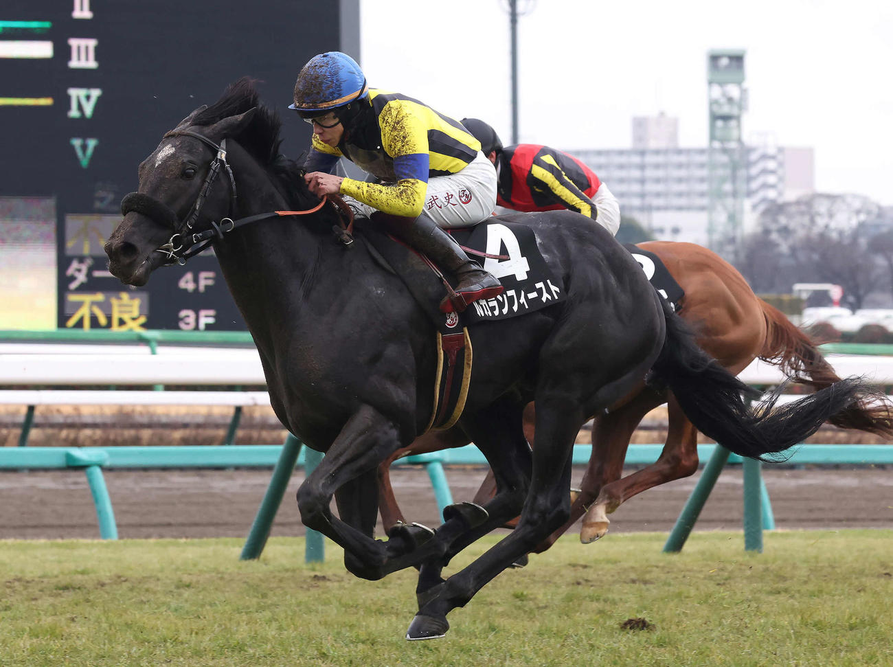 中山9R若竹賞を制したルカランフィーストと横山武騎手（撮影・丹羽敏通）