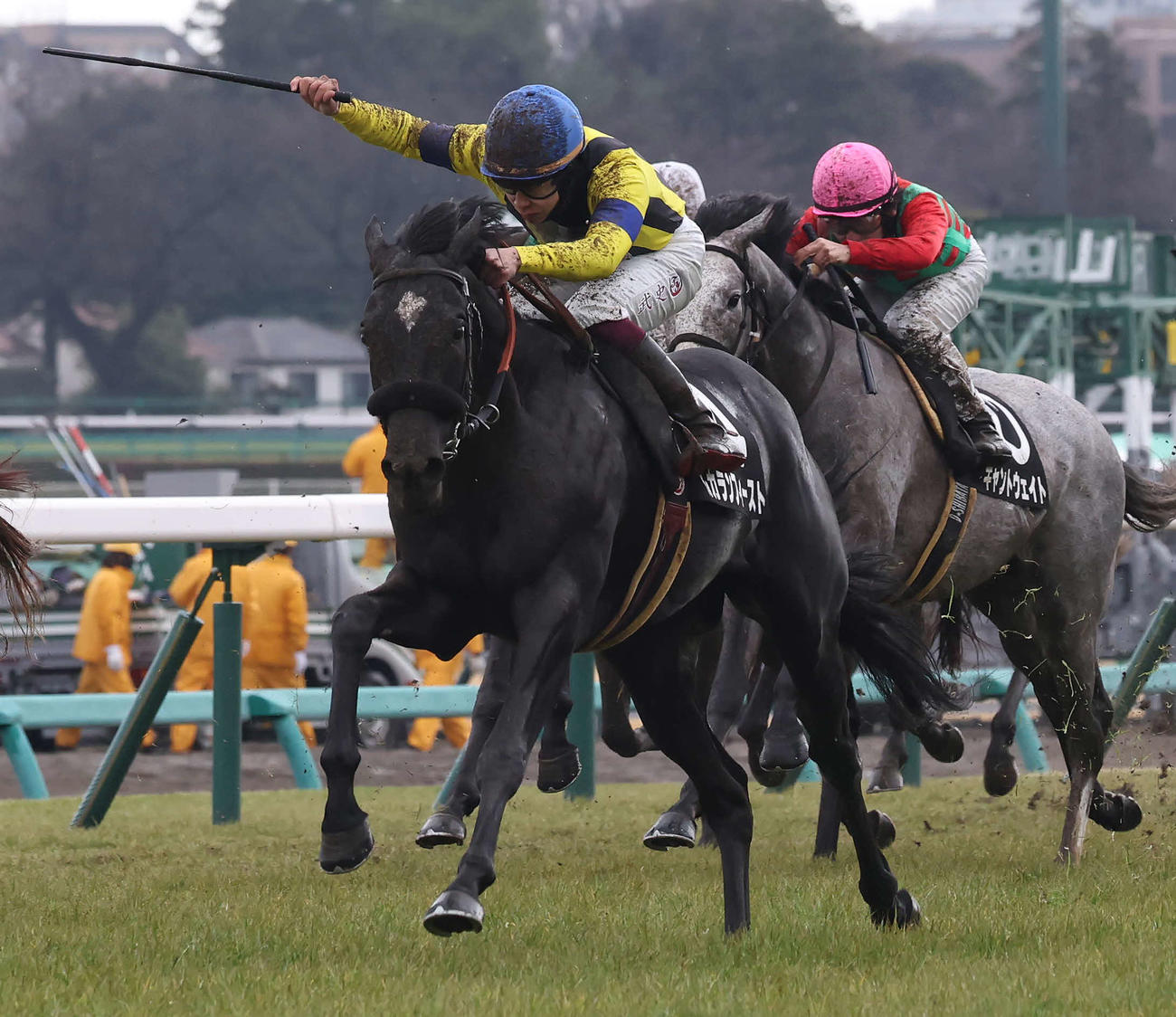 中山9R若竹賞を制したルカランフィーストと横山武騎手（撮影・丹羽敏通）