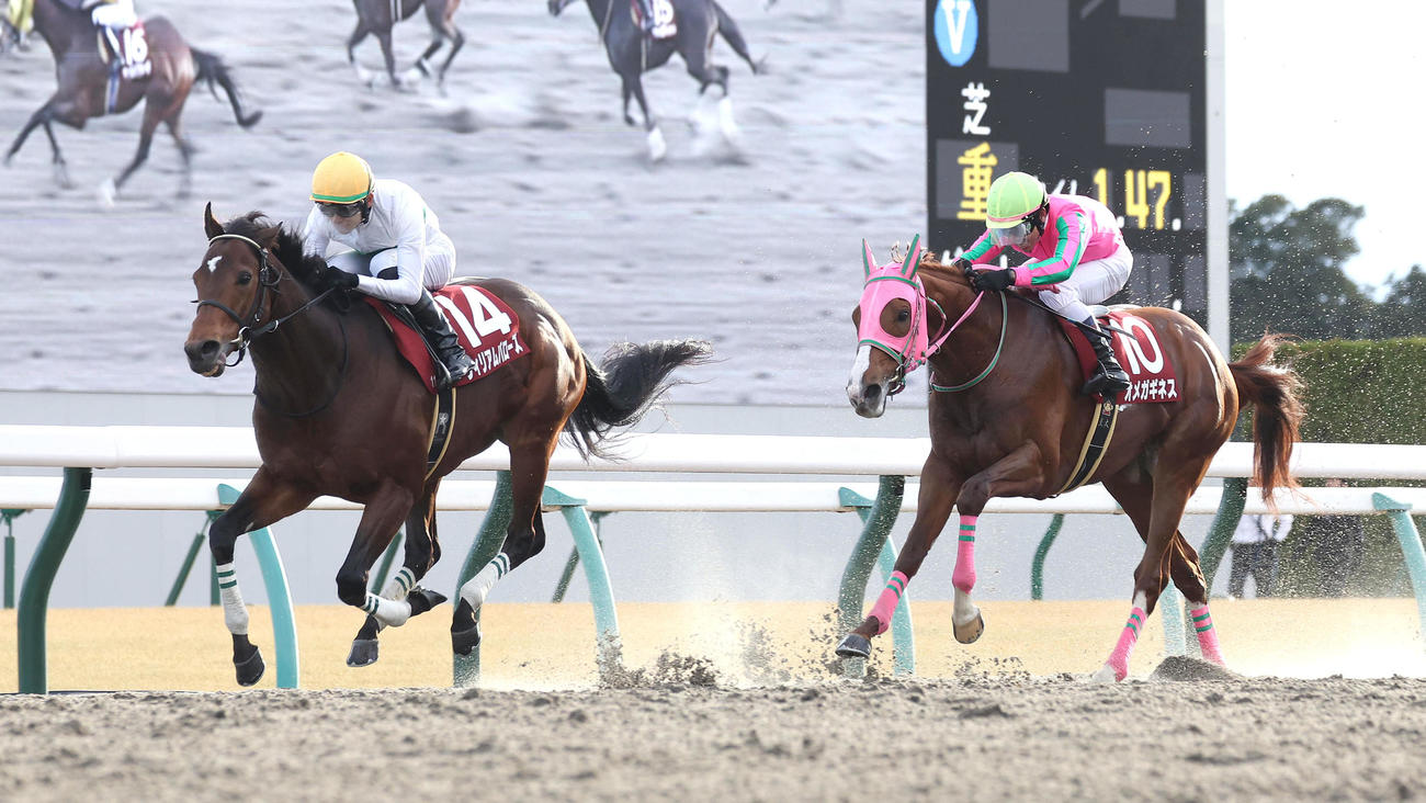 直線抜け出して東海Sを制したウィリアムバローズ（左）（撮影・白石智彦）